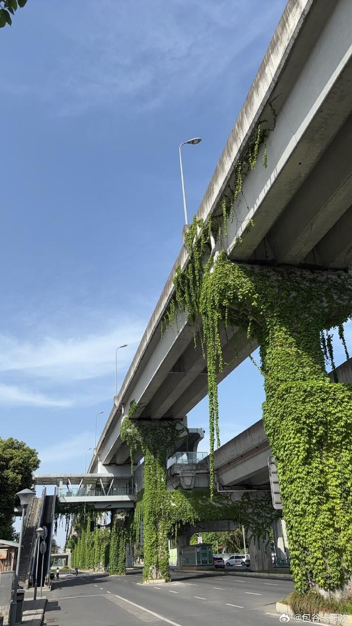 成都气温飙升36.9℃！明晚大风雷雨来袭，你准备好迎接这场夏日暴击了吗？  第3张