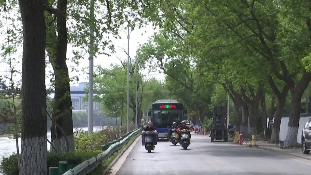 南通城闸路惊现绝美树洞画！唐闸古镇五大元素惊艳亮相，你打卡了吗？