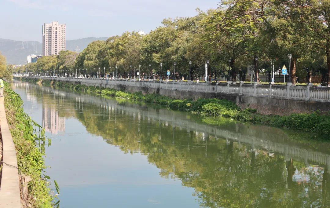 鸦岗运河三年蝶变！从黑臭河涌到美丽河湖，市委书记周末暗访后市民纷纷点赞  第3张