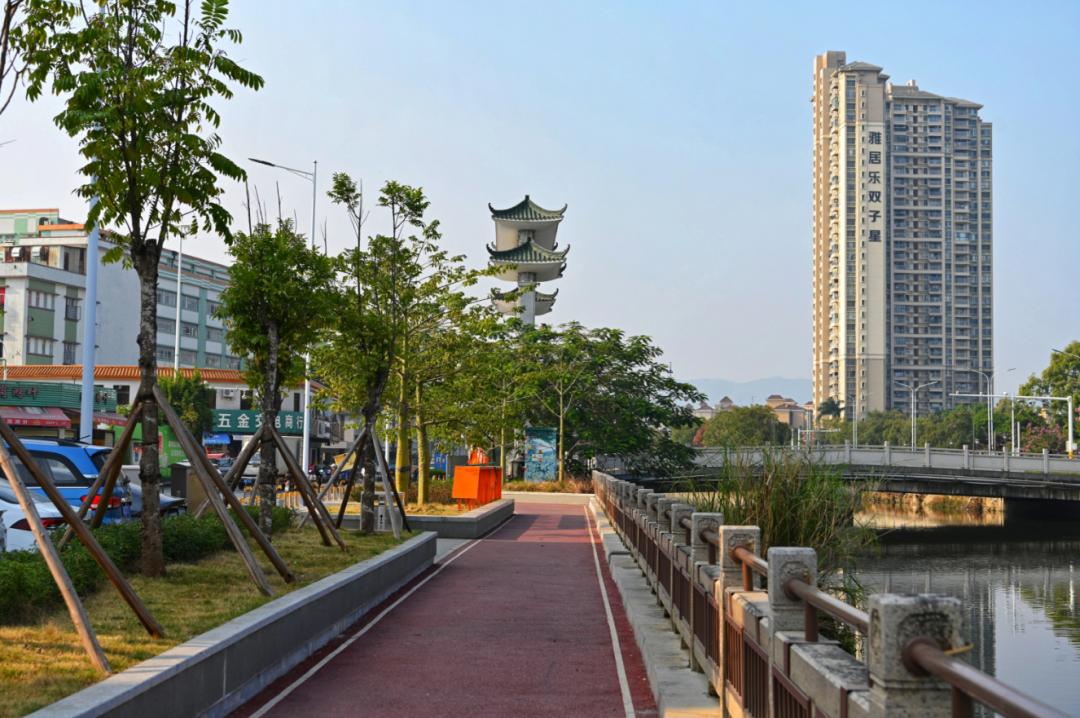 鸦岗运河三年蝶变！从黑臭河涌到美丽河湖，市委书记周末暗访后市民纷纷点赞  第4张