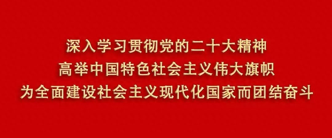 新民镇应急队大练兵！护林防火、防汛防地灾、消防安全如何全面提升？