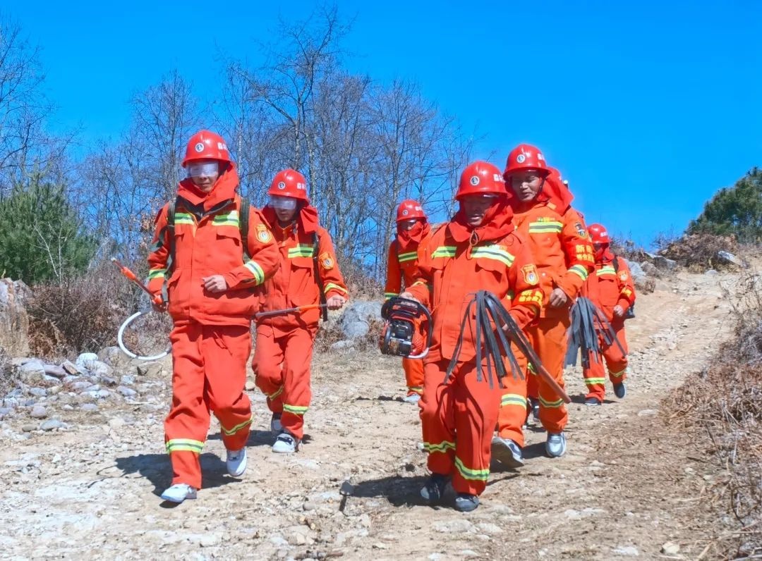 新民镇应急队大练兵！护林防火、防汛防地灾、消防安全如何全面提升？  第6张