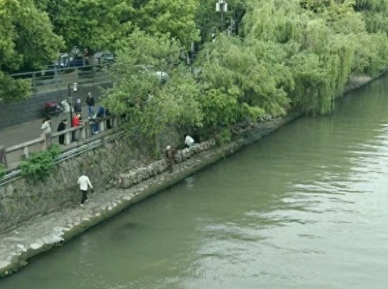 惊险！老人落水命悬一线，5位路人联手上演饱和式救援，这一幕太暖了