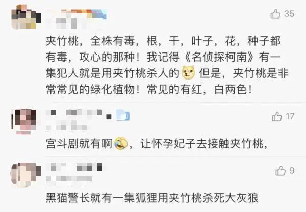 美丽夹竹桃竟藏致命危险？河南赵先生因它中招！你还敢碰吗？  第5张