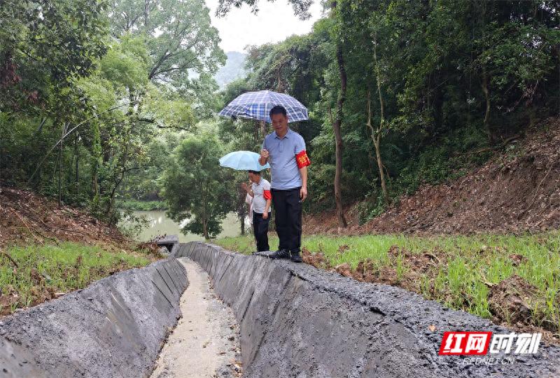 暴雨突袭！北湖区如何保障蓝波湾小区安全，化解山体滑坡隐患？