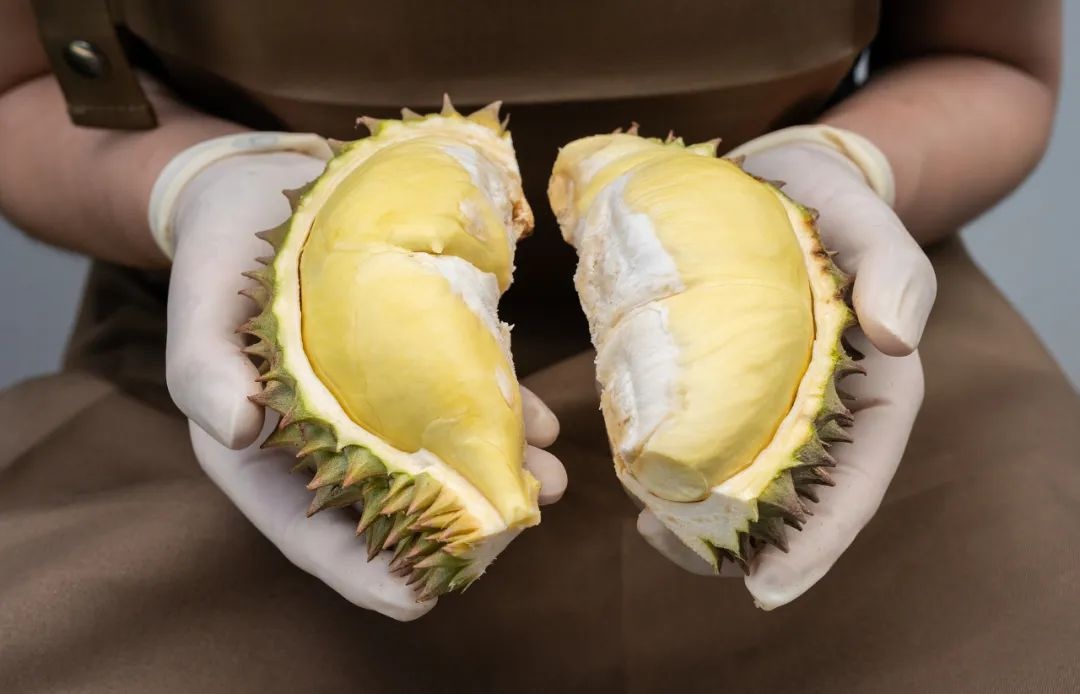 榴莲爱好者狂喜！广州港南沙港区为何成进口小高峰？  第3张