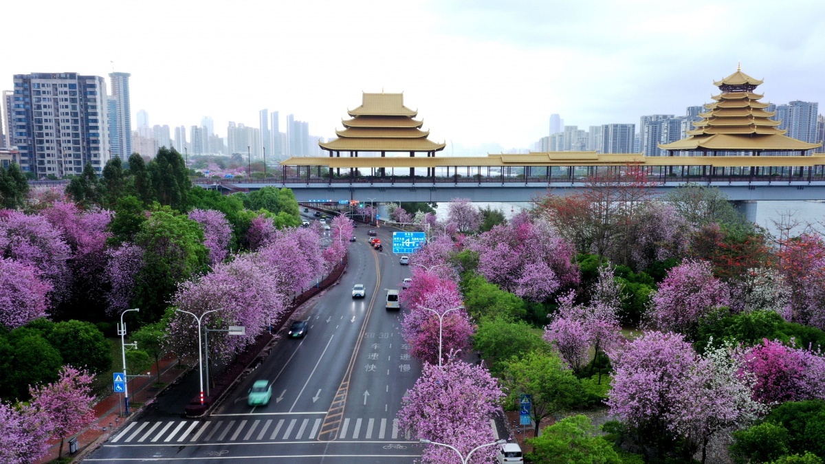 5月19日是第15个中国旅游日！柳州文旅市场为何能如此火爆？  第2张