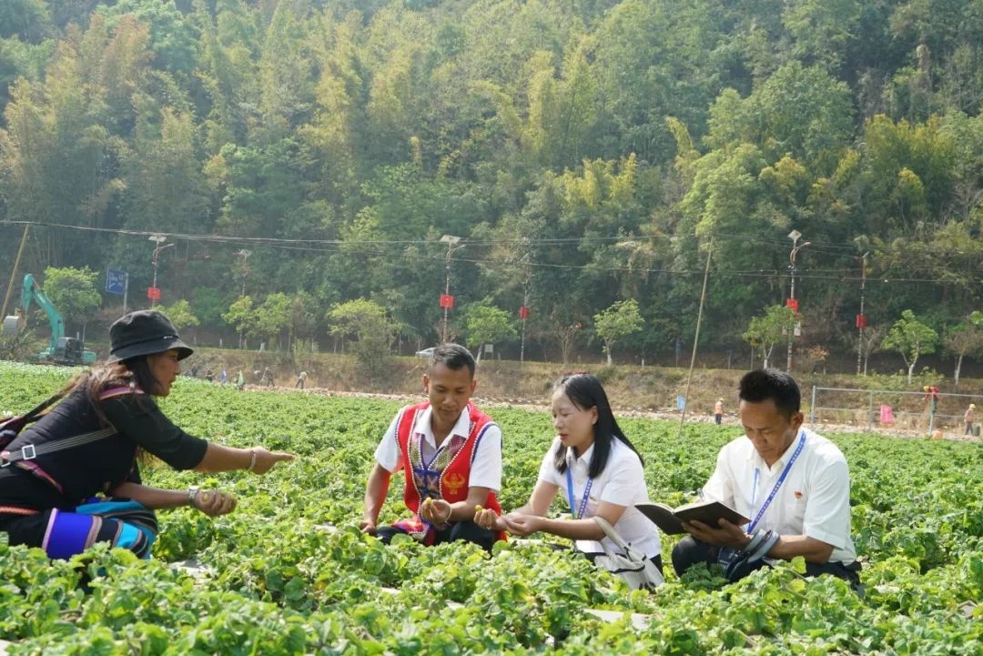 家门口就业成现实！沧源佤族自治县如何做到的？  第2张