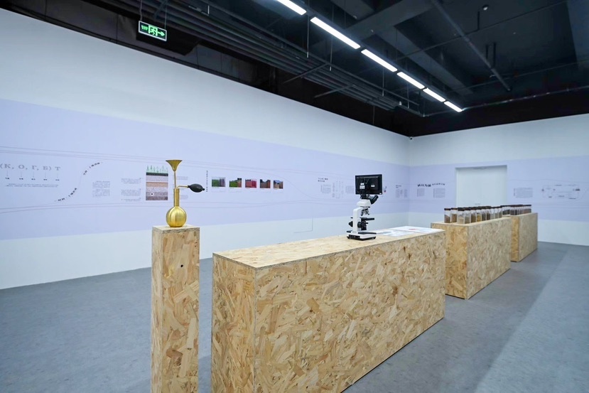 当土壤成为艺术媒介！这场视觉艺术展究竟碰撞出了啥火花？  第4张
