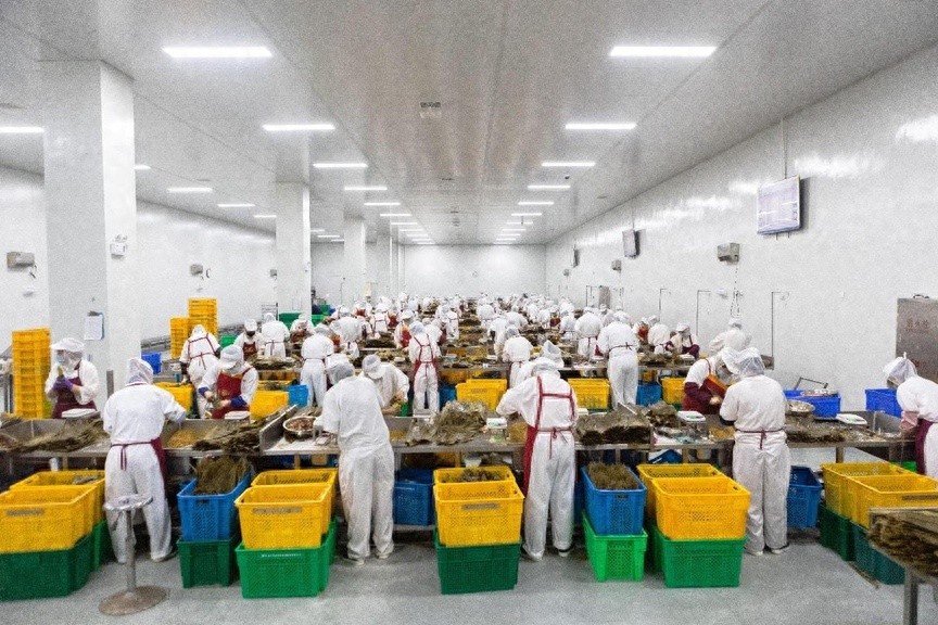 端午临近！低GI粽子走红，健康需求引领潮流？特色口味等你尝鲜
