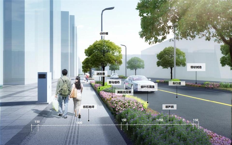 重磅！武青西三路市政道路改造月底竣工？这些变化超关键  第3张