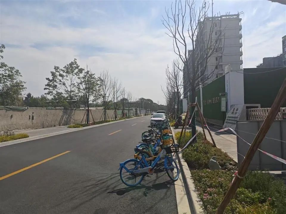 重磅！武青西三路市政道路改造月底竣工？这些变化超关键  第5张