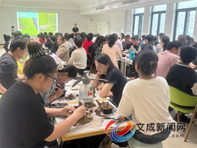5月18日文成这场苔藓微景观制作培训大赛，你参加了吗？