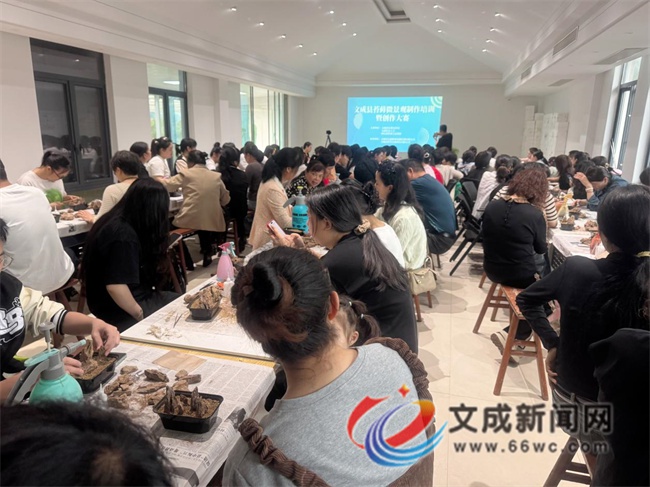 5月18日文成这场苔藓微景观制作培训大赛，你参加了吗？  第2张