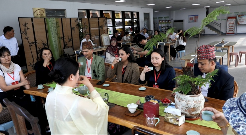 外国友人共采小茶叶！2025 茶博会庐江行，感受啥魅力？  第3张