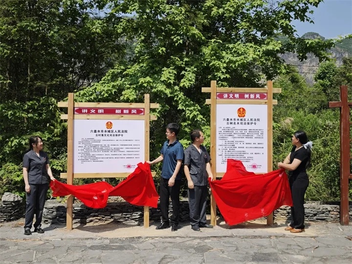 贵州古树保护新条例施行！3000余株古银杏如何摆脱被破坏命运？  第3张