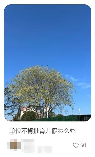 员工请育儿假遭拒后旷工被解除合同？仲裁结果令人意外  第4张