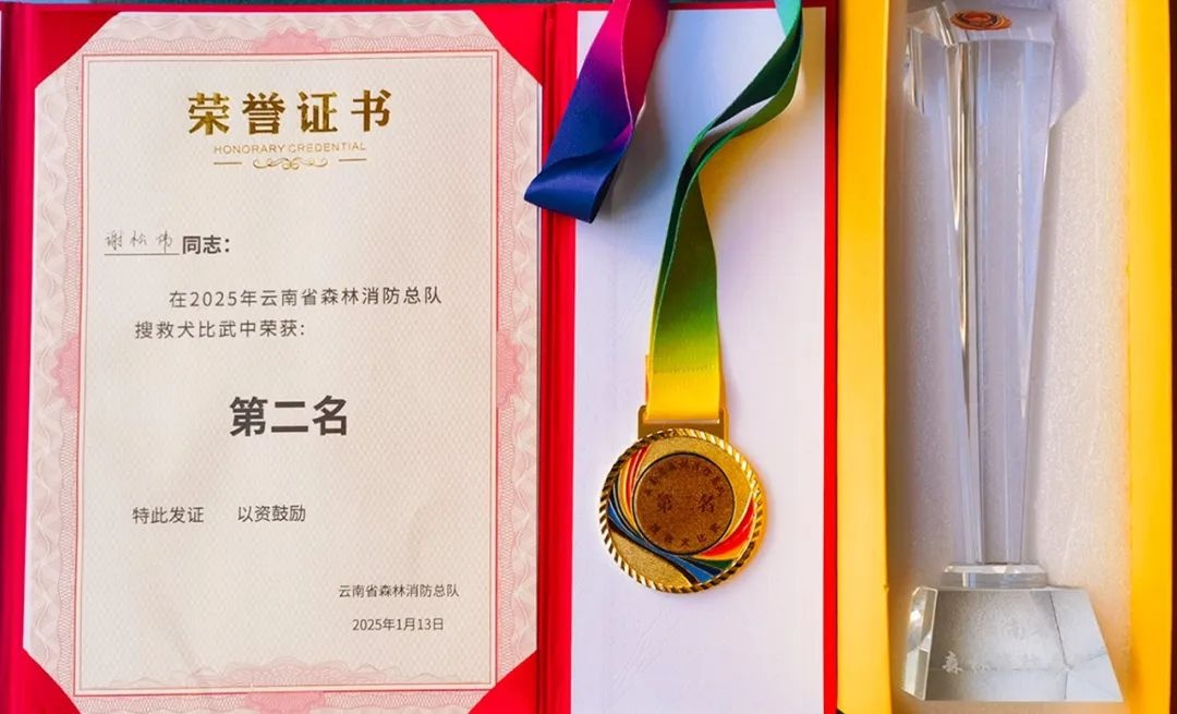 搜救犬追风与训导员谢松伟的默契配合，如何在比武中脱颖而出？  第2张