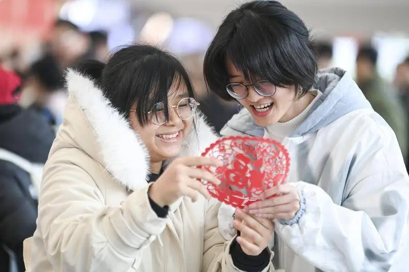 春运大潮来袭！90亿人次如何穿越960万平方公里，只为回家过年？  第3张