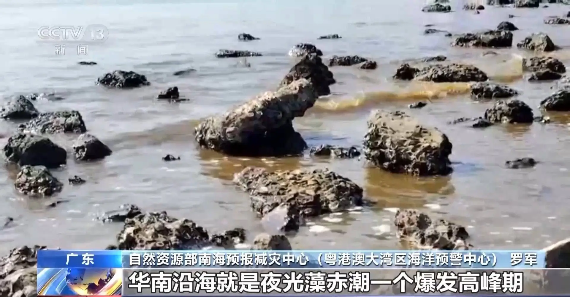 华南沿海赤潮持续一个月，球形棕囊藻为何如此猖獗？  第2张