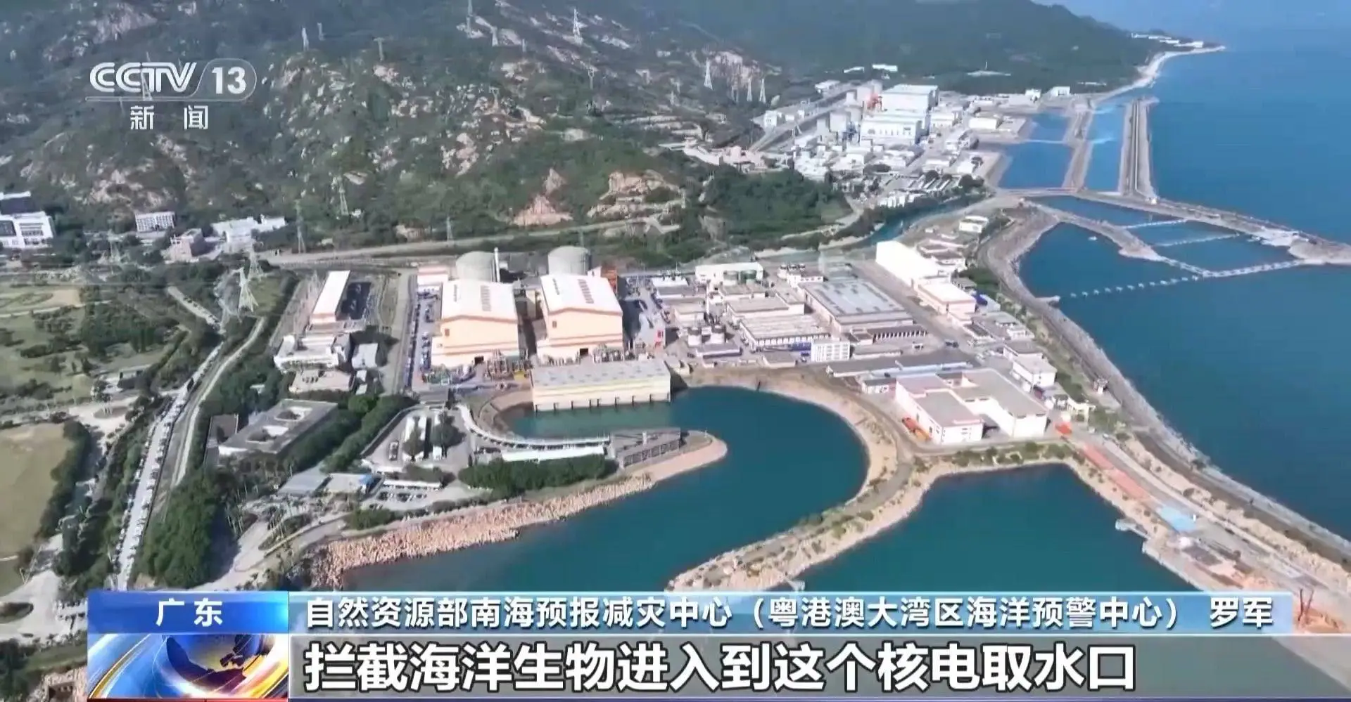 华南沿海赤潮持续一个月，球形棕囊藻为何如此猖獗？  第4张