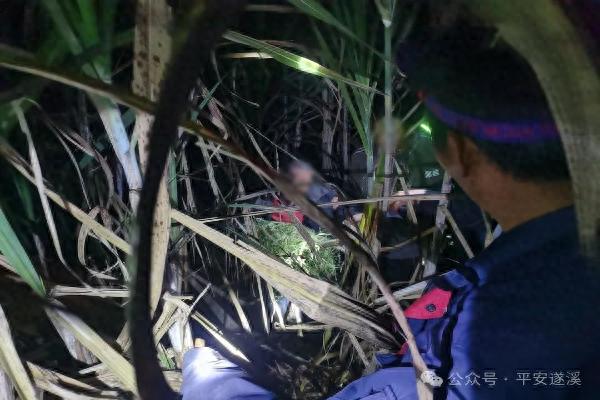 87岁老人走失12小时，家人焦急万分！警方全力搜寻，你能帮忙吗？  第1张