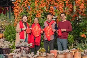 95岁老母亲连续两年选择攀枝花过冬，这里的阳光究竟有何魔力？  第11张