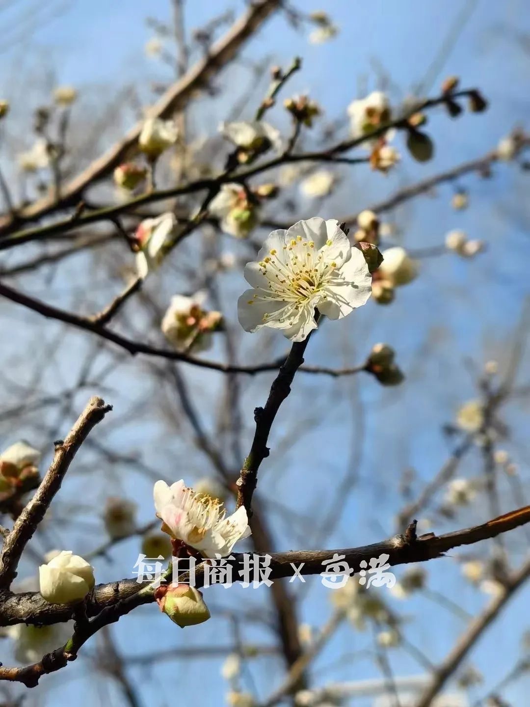 2025首场寒潮春节来袭！杭城天气先暖后冷，气温疯狂上扬后骤降，你准备好了吗？  第2张