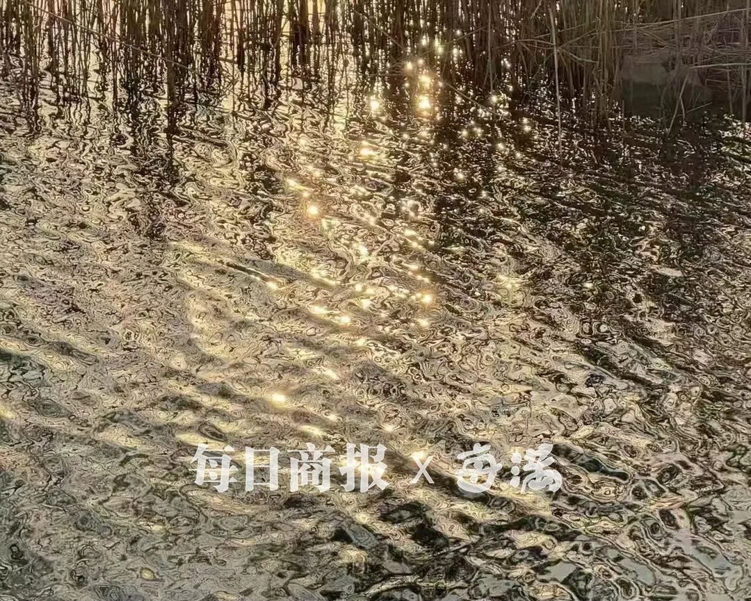 2025首场寒潮春节来袭！杭城天气先暖后冷，气温疯狂上扬后骤降，你准备好了吗？  第5张