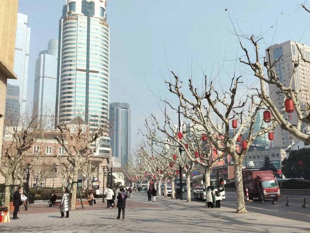 大寒节气竟温暖如春？申城今日气温飙升，市民纷纷走出家门享受冬日暖阳  第1张
