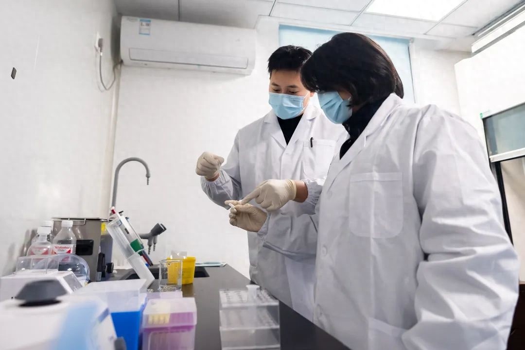 从15天到2小时！定海区公安分局如何实现食药环案件检测效率的惊人飞跃？