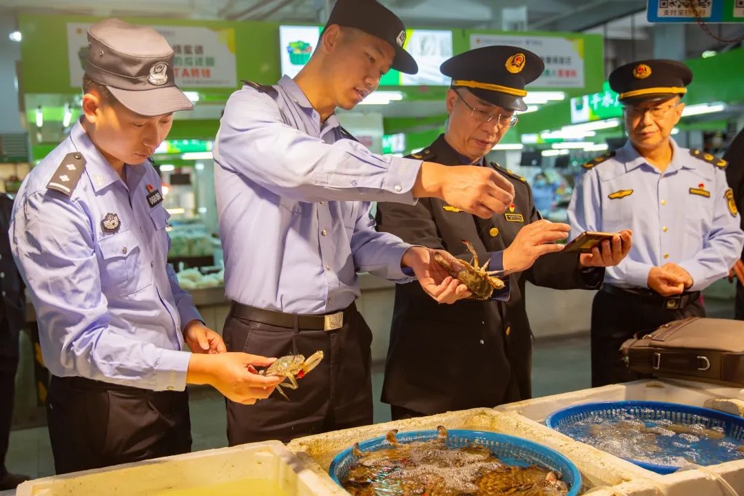 从15天到2小时！定海区公安分局如何实现食药环案件检测效率的惊人飞跃？  第3张