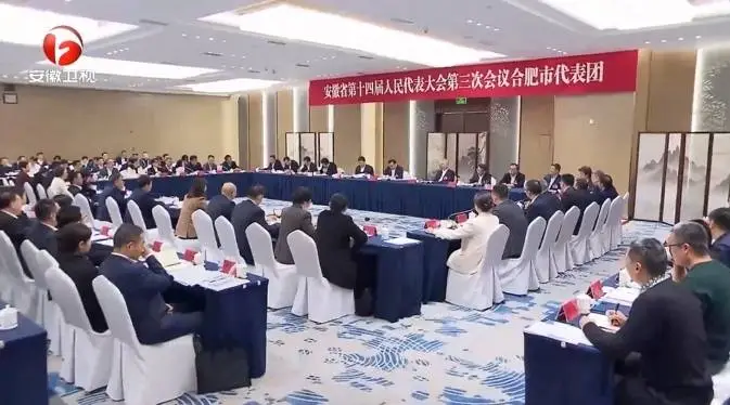安徽省委书记梁言顺与代表共议政府工作报告，未来安徽将如何发展？