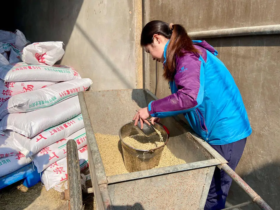从帝国理工到上海动物园：马雅为何放弃高薪，选择与动物为伴？  第3张