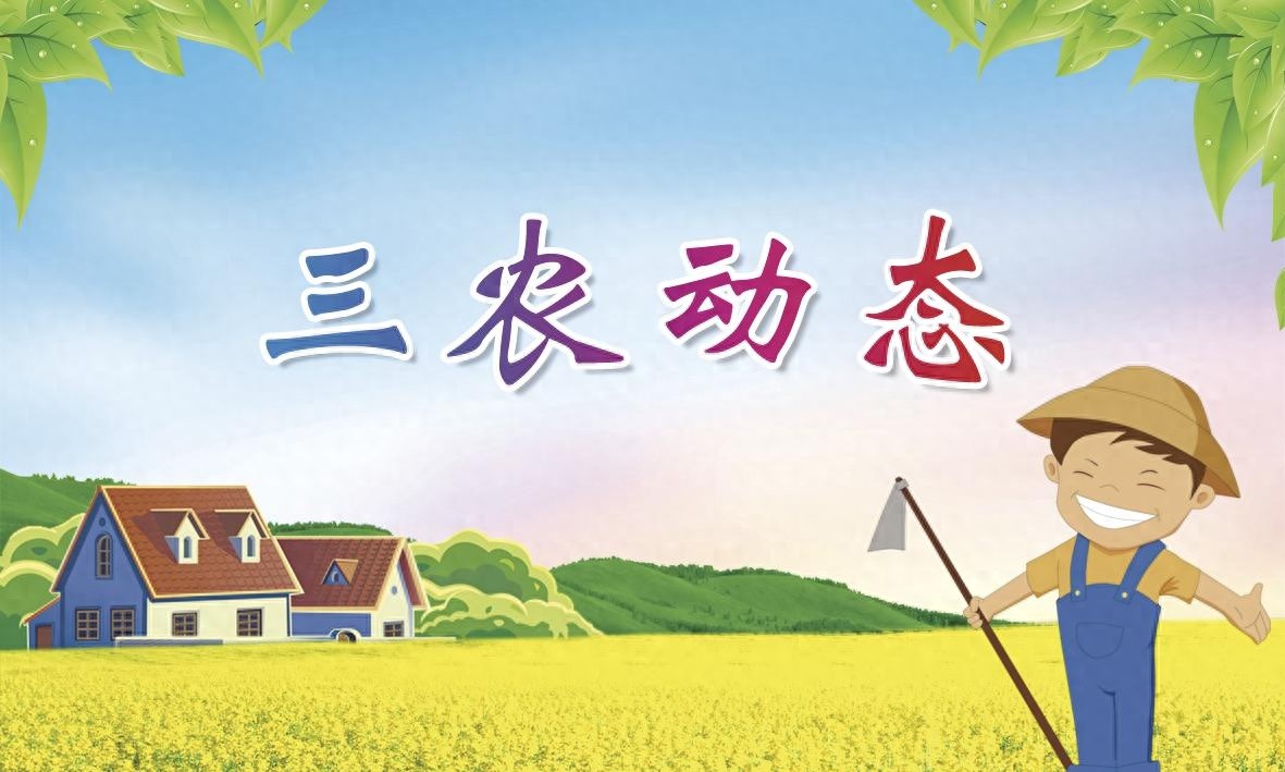 核桃树春管搞得好，当年果多病虫少！你还在等什么？  第1张