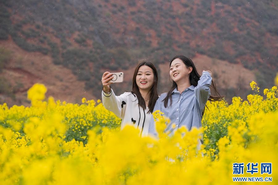 早春洱源：春耕与花海交织，你准备好迎接这场视觉盛宴了吗？  第7张