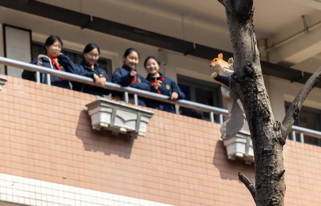 课间时间延长至15分钟，学生们的运动时间真的够了吗？  第5张