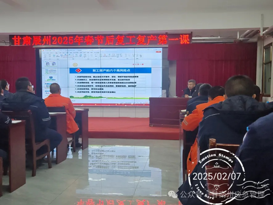 甘南州矿山企业如何确保安全复工复产？揭秘应急管理局的严格标准  第3张