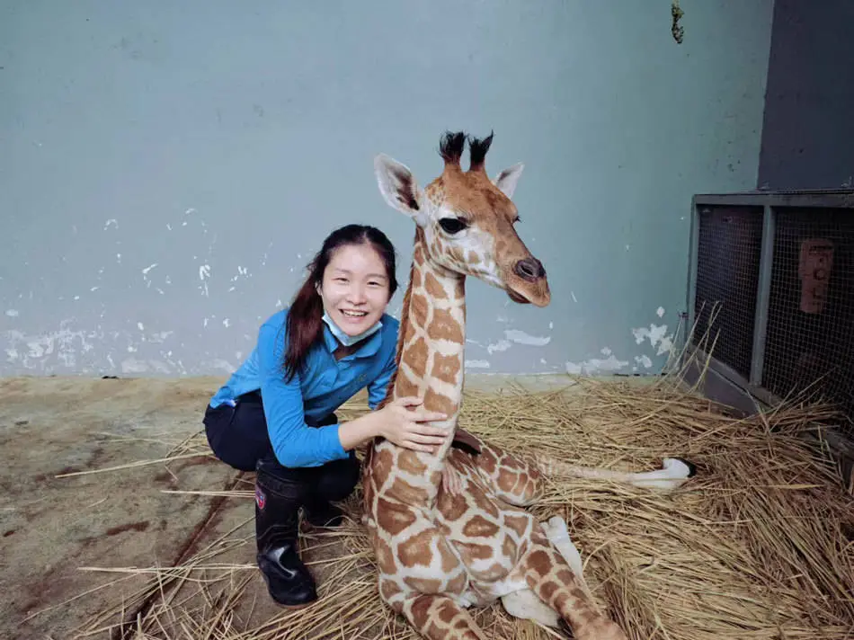 不到30岁就成为教授？揭秘李钦宾飞速晋升的秘密  第2张