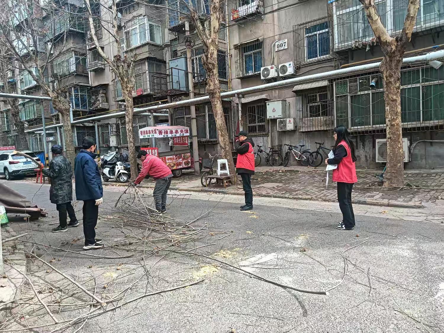 莲湖区惠民南坊社区居民为何纷纷点赞？树木修剪背后竟有这些暖心故事  第2张