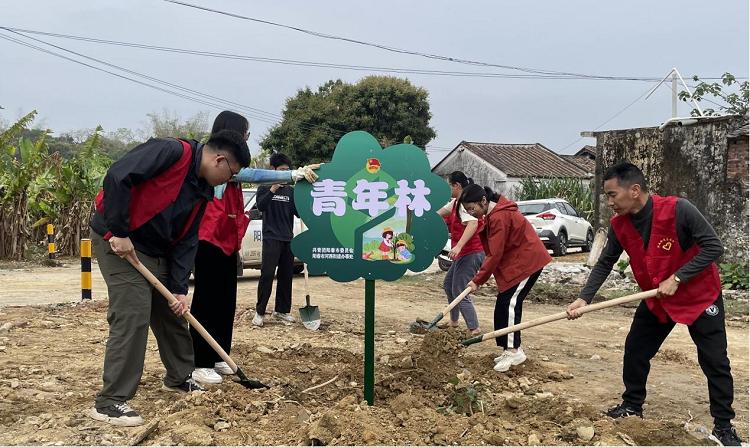 植树节新气象！河西街道50株香樟树如何为绿美河西增添新绿？  第4张