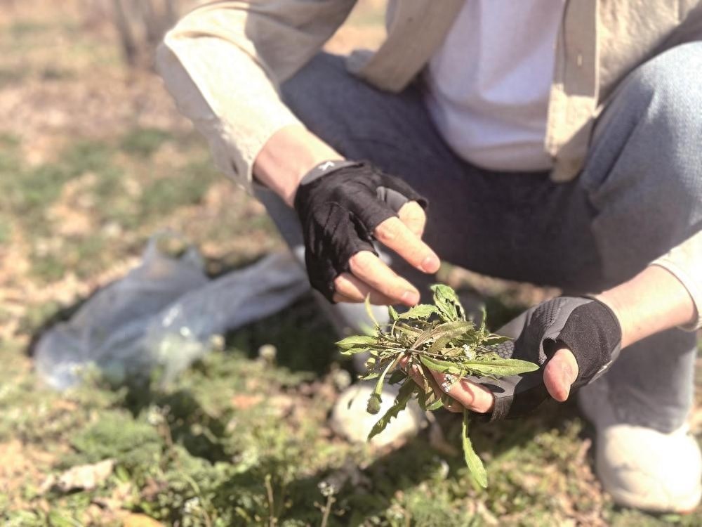 春分时节，你准备好探寻舌尖上的春味密码了吗？
