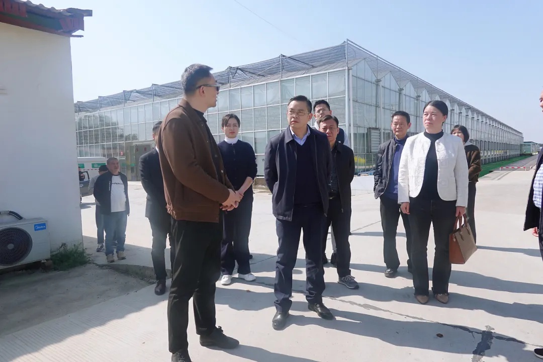 防汛形势严峻！湘潭副市长陈爱民亲临一线，岳塘区如何守护大堤安全？  第3张