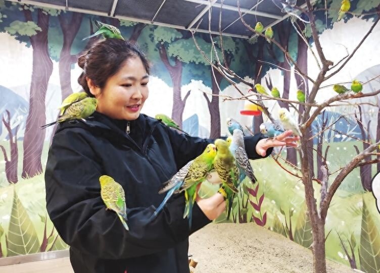 撸鸟也能解压？揭秘宠物体验馆如何成为年轻人的新宠  第1张