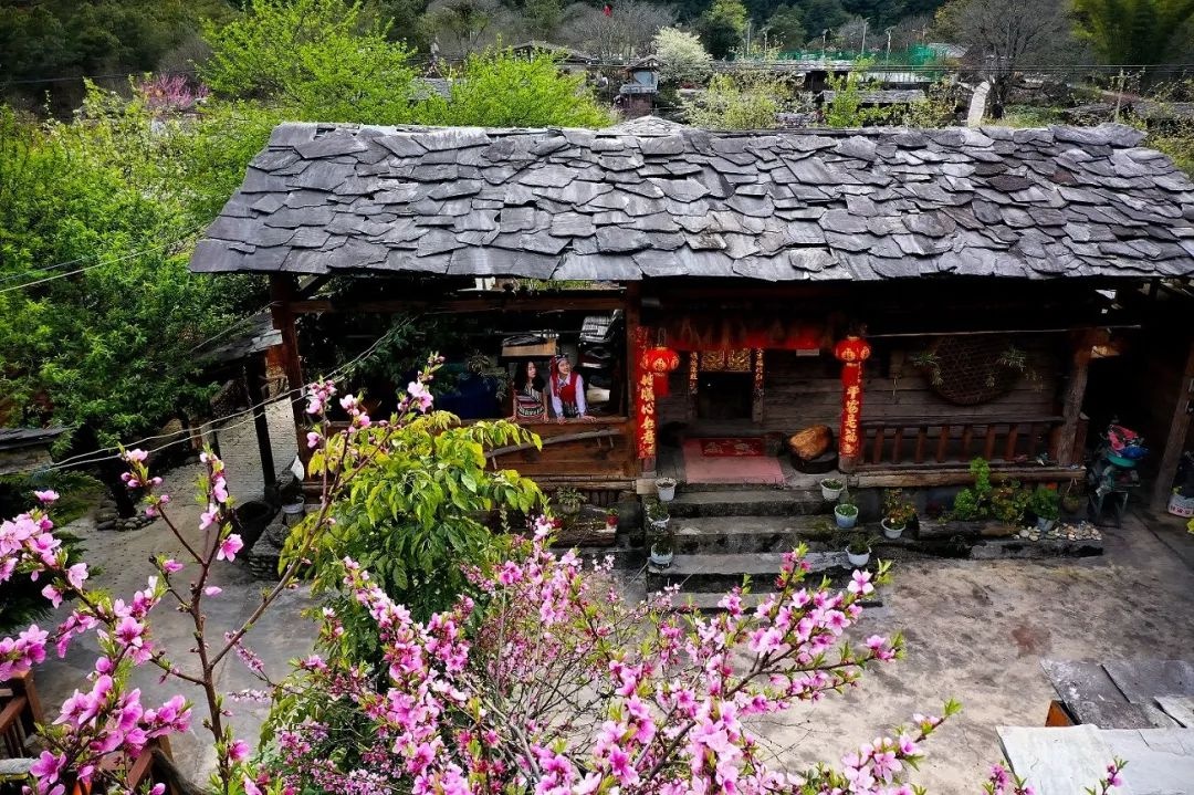 探秘丙中洛:桃花岛与雾里村,春天最美的画卷你见过吗? 第2张 探秘丙中洛:桃花岛与雾里村,春天最美的画卷你见过吗? 第2张