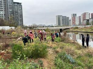 河道变菜园？马街街道联合多部门重拳出击，清四乱行动震撼来袭
