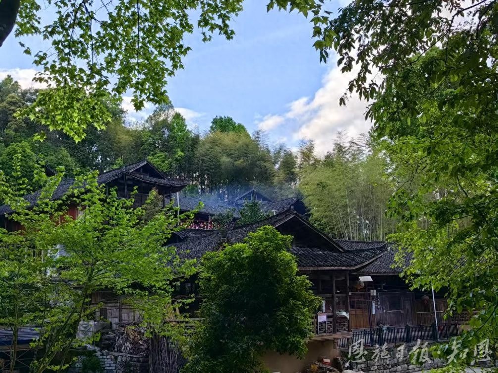 边界矛盾三不管，如何破局？来凤县调解室成连心桥  第1张