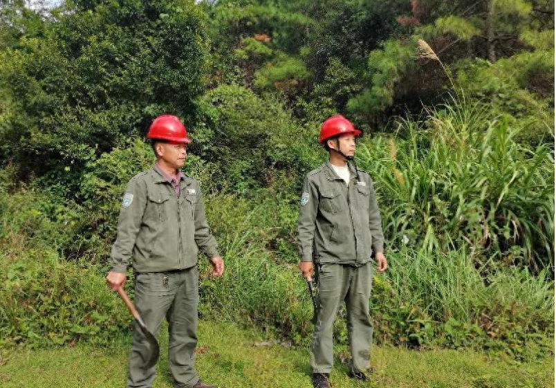 道县如何织密森林生态安全网？‘一长四员’联动防御火灾