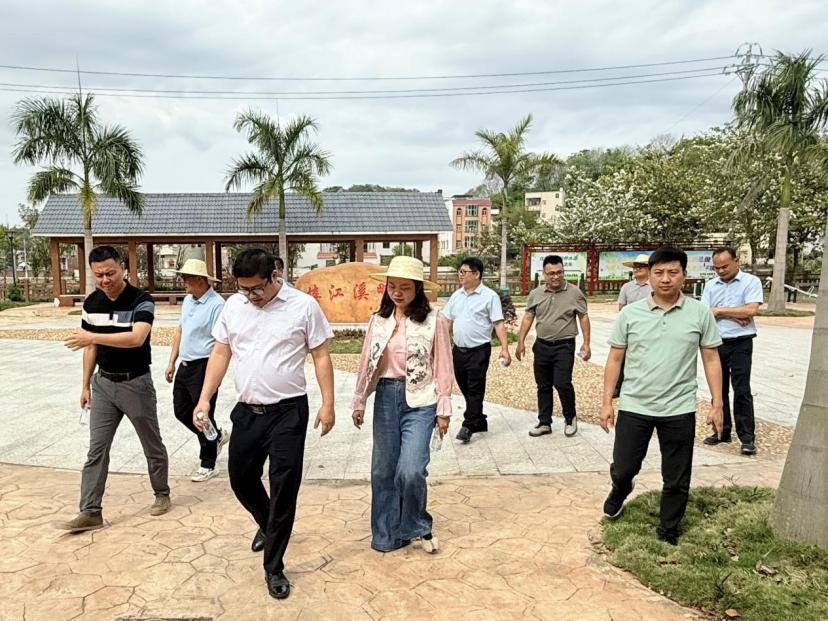 梅林镇为何要远赴安流镇取经？揭秘百千万工程的惊人成果  第2张