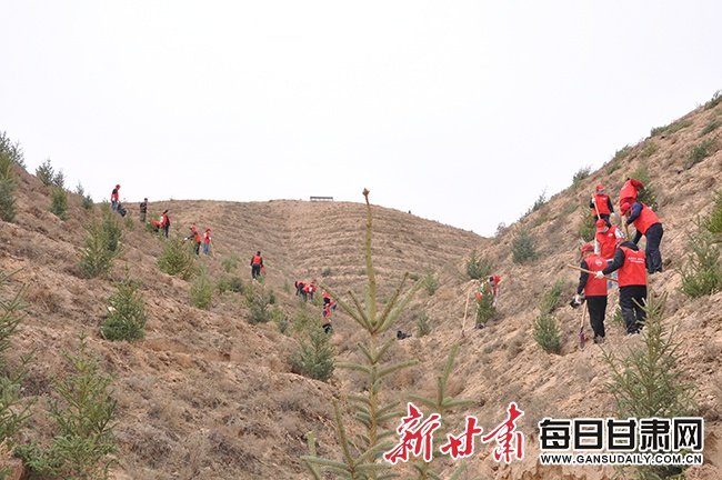 出租车司机变身环保卫士？2025甘肃植树公益行震撼启动  第2张